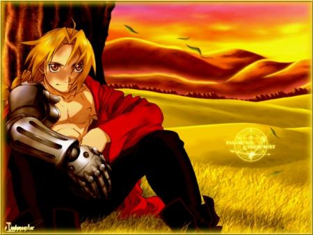 full metal alchemist